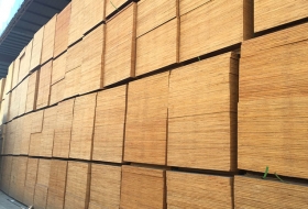 建筑模板木方